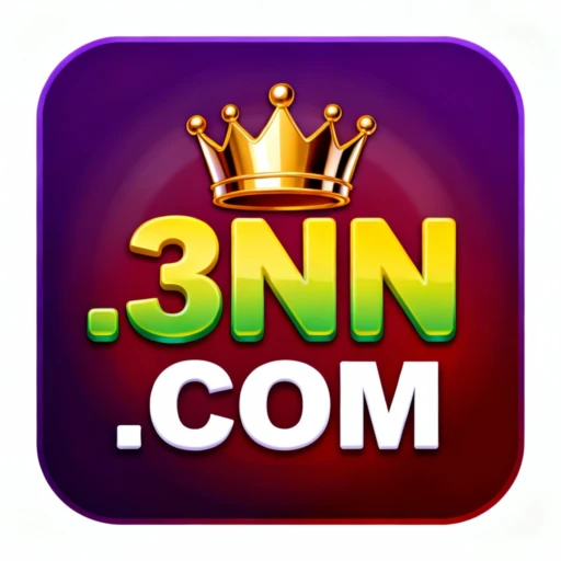 3NN logo